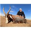 Image 1 : 1 hunter, 1 observer included and trophy fees forblesbuck or impala and blue wildebeest or gemsbuck