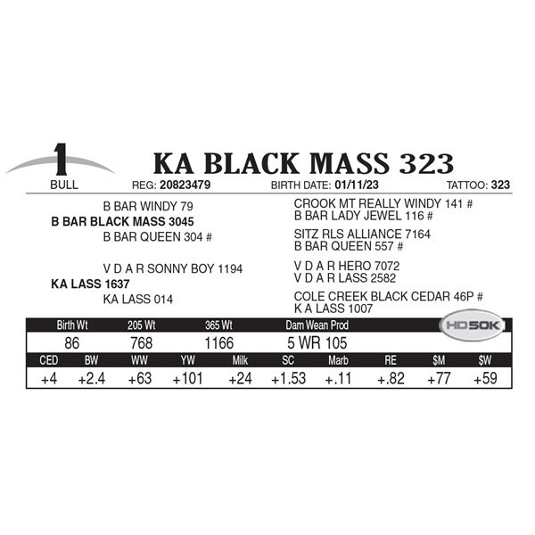 KA Black Mass 323