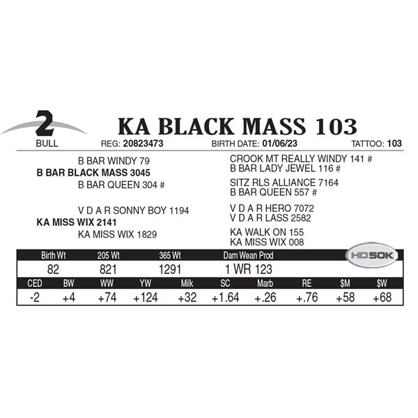KA Black Mass 103