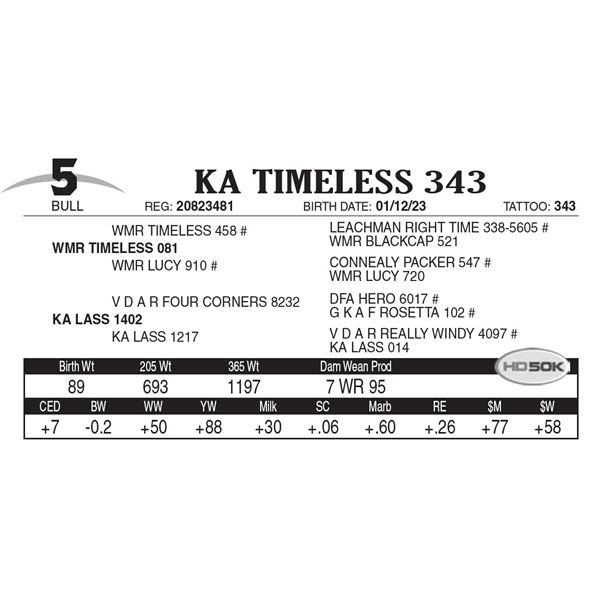 KA Timeless 343