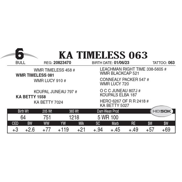 KA Timeless 063