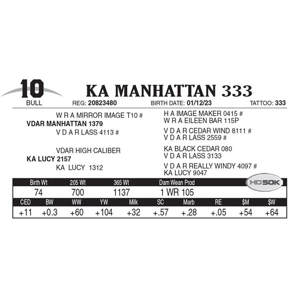 KA Manhattan 333