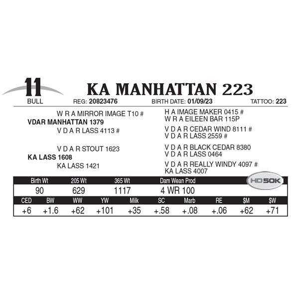 KA Manhattan 223