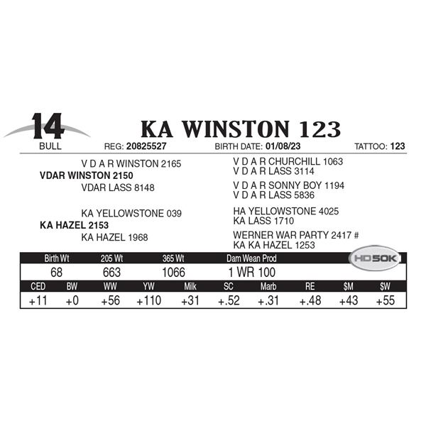 KA Winston 123