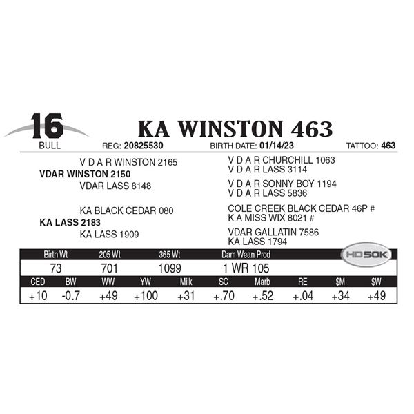 KA Winston 463