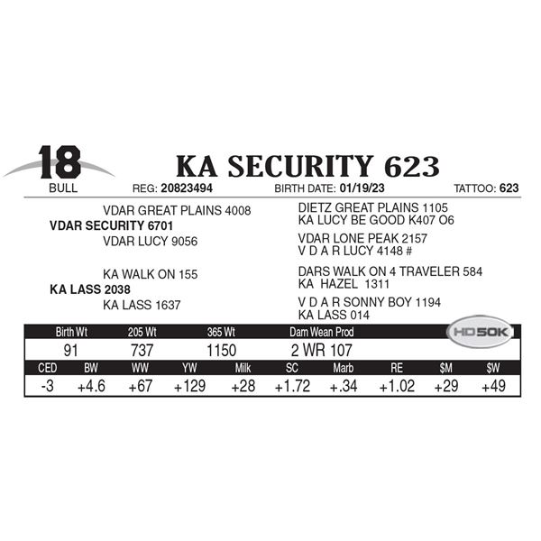 KA Security 623