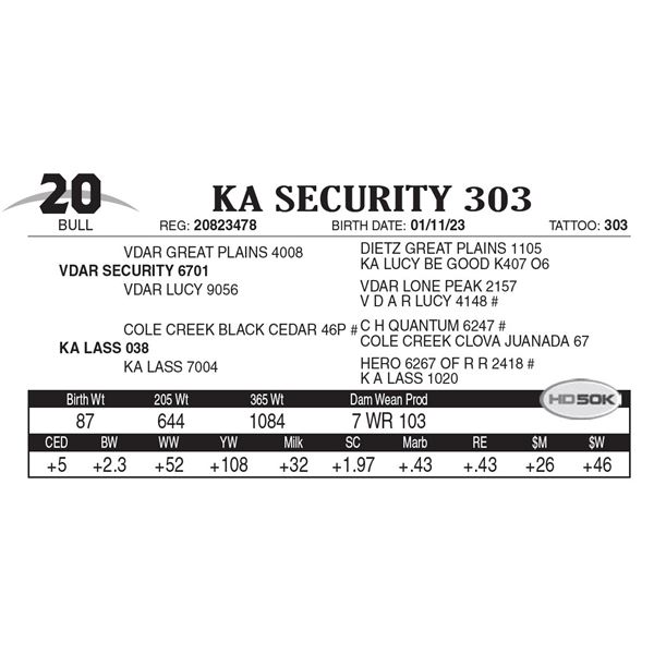 KA Security 303