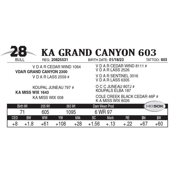 KA Grand Canyon 603