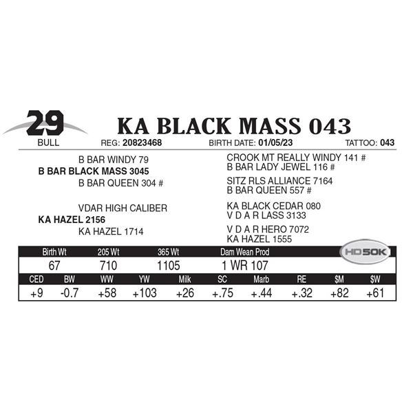 KA Black Mass 043