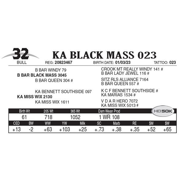 KA Black Mass 023