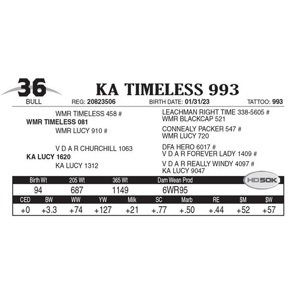 KA Timeless 993