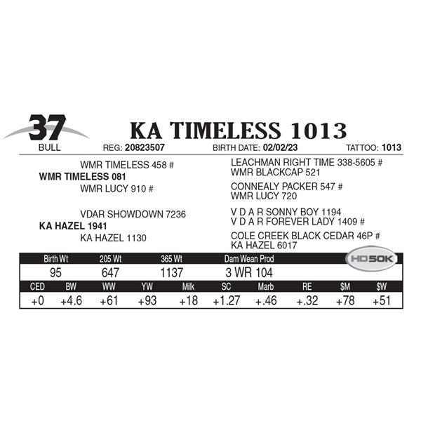 KA Timeless 1013
