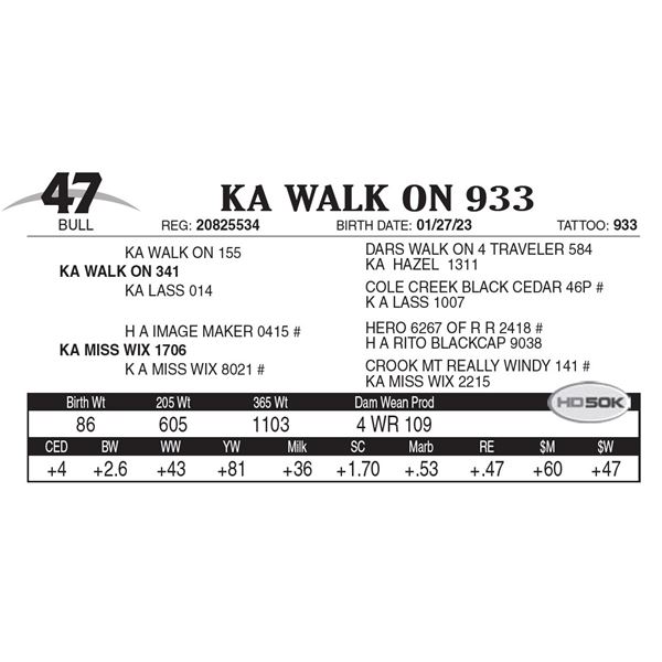 KA Walk On 933