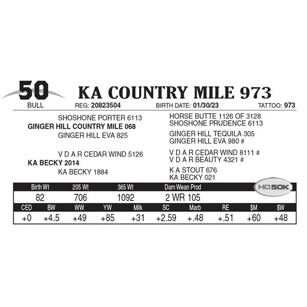 KA Country Mile 973