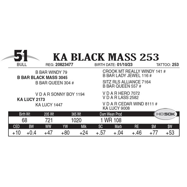 KA Black Mass 253