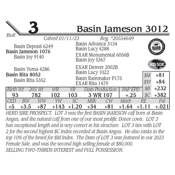 Basin Jameson 3012