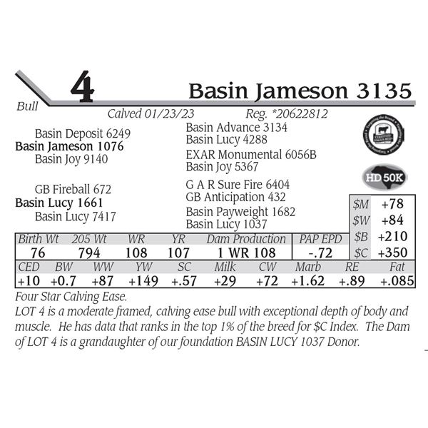 Basin Jameson 3135