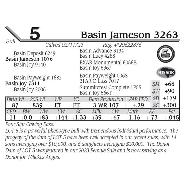 Basin Jameson 3263