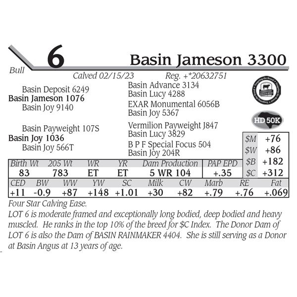 Basin Jameson 3300