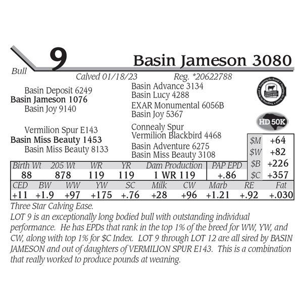 Basin Jameson 3080