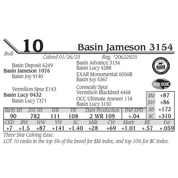 Basin Jameson 3154