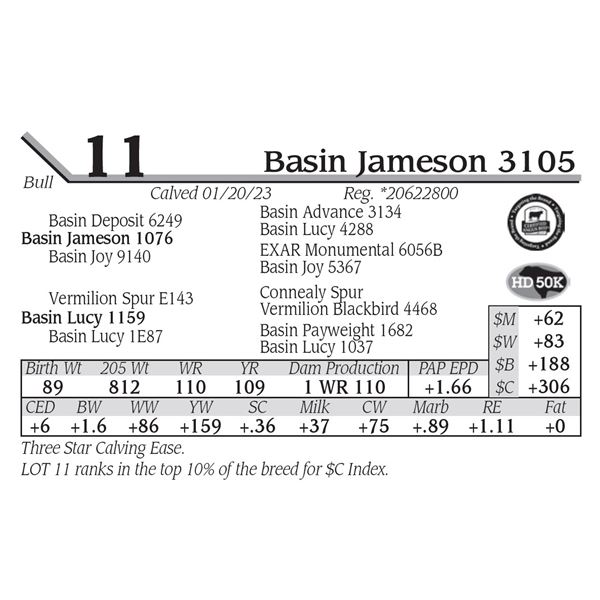 Basin Jameson 3105