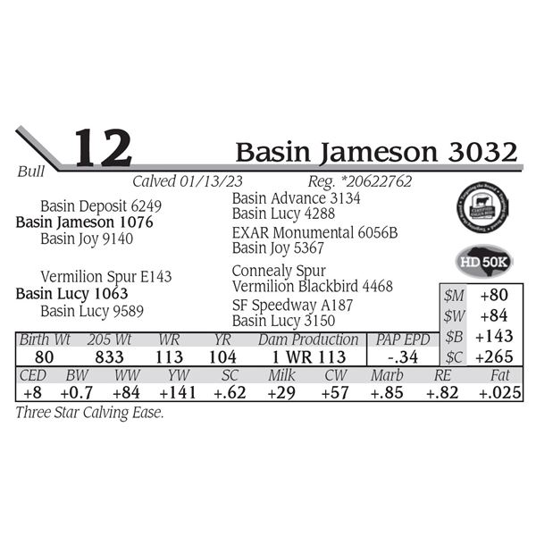 Basin Jameson 3032