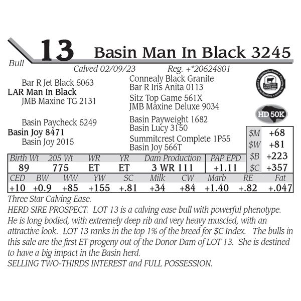 Basin Man In Black 3245