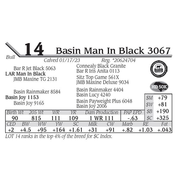 Basin Man In Black 3067