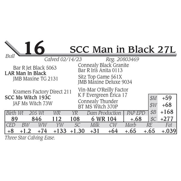 SCC Man in Black 27L