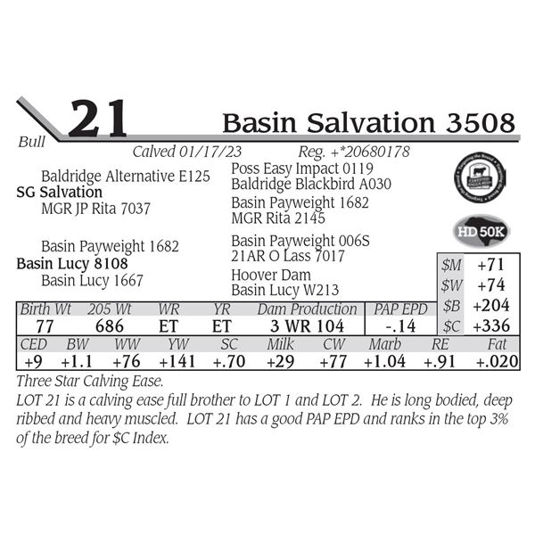 Basin Salvation 3508