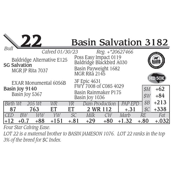 Basin Salvation 3182