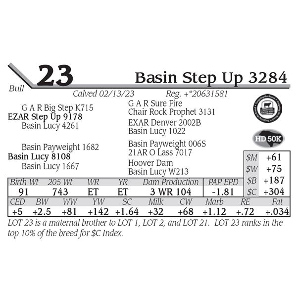 Basin Step Up 3284