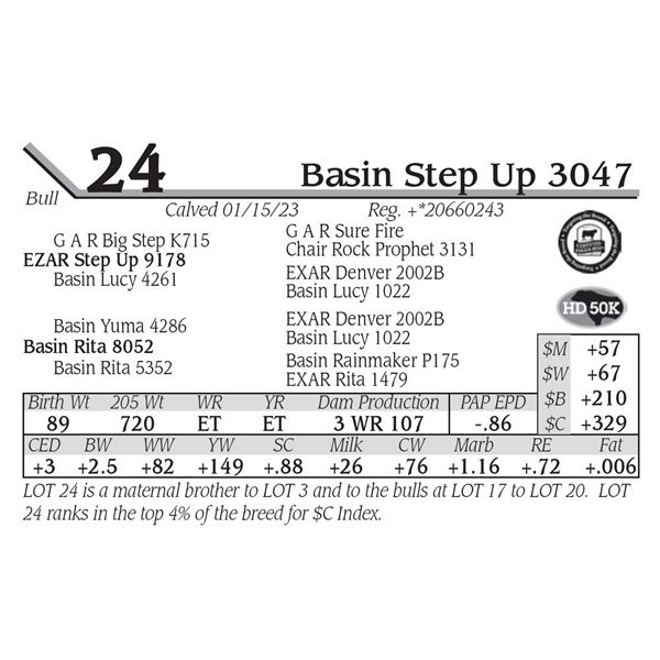 Basin Step Up 3047