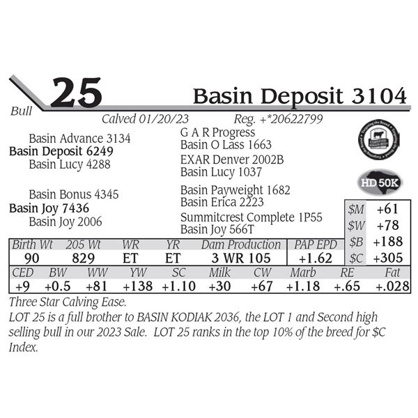 Basin Deposit 3104