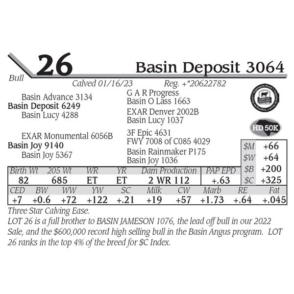 Basin Deposit 3064