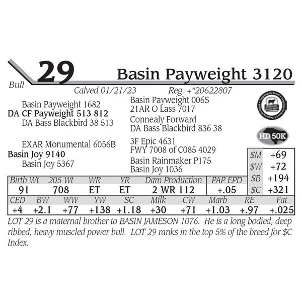 Basin Payweight 3120