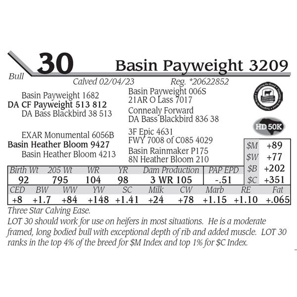 Basin Payweight 3209