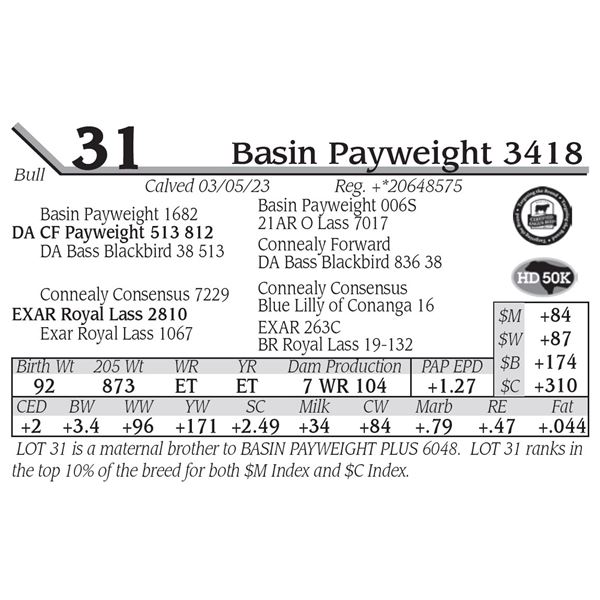 Basin Payweight 3418