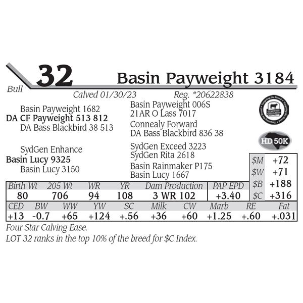 Basin Payweight 3184