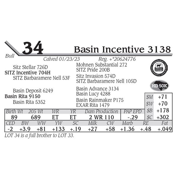 Basin Incentive 3138