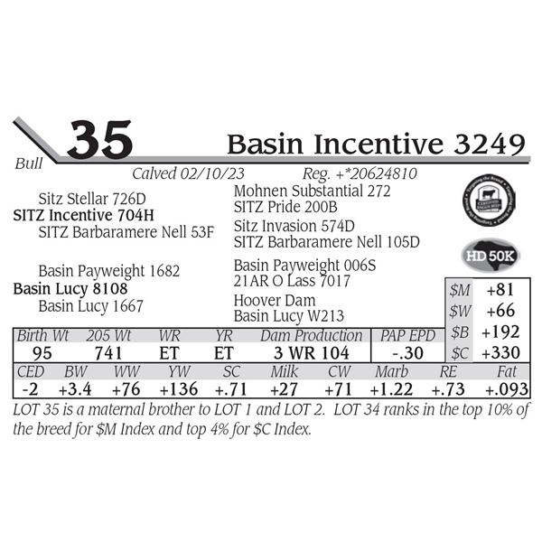 Basin Incentive 3249