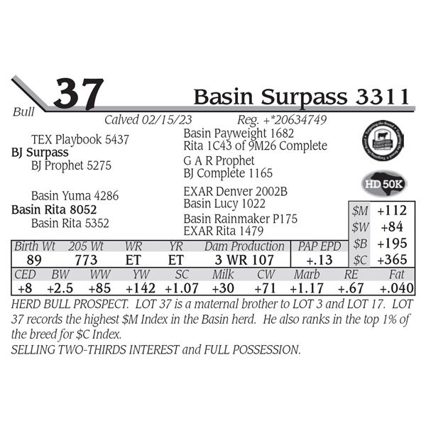 Basin Surpass 3311