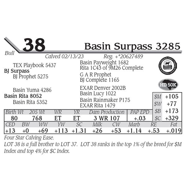 Basin Surpass 3285