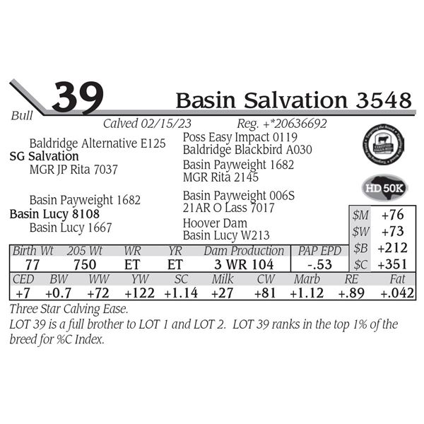 Basin Salvation 3548