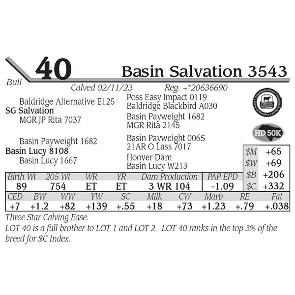 Basin Salvation 3543