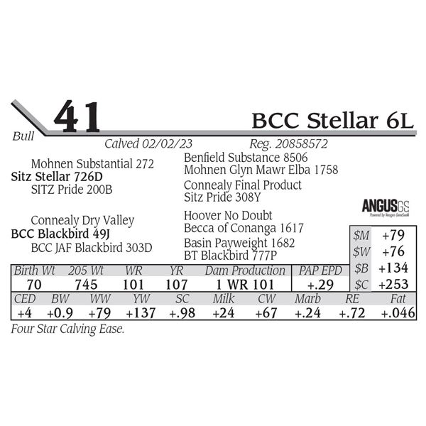 BCC Stellar 6L