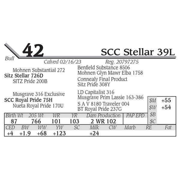 SCC Stellar 39L