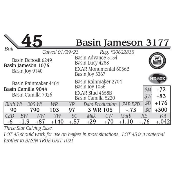 Basin Jameson 3177