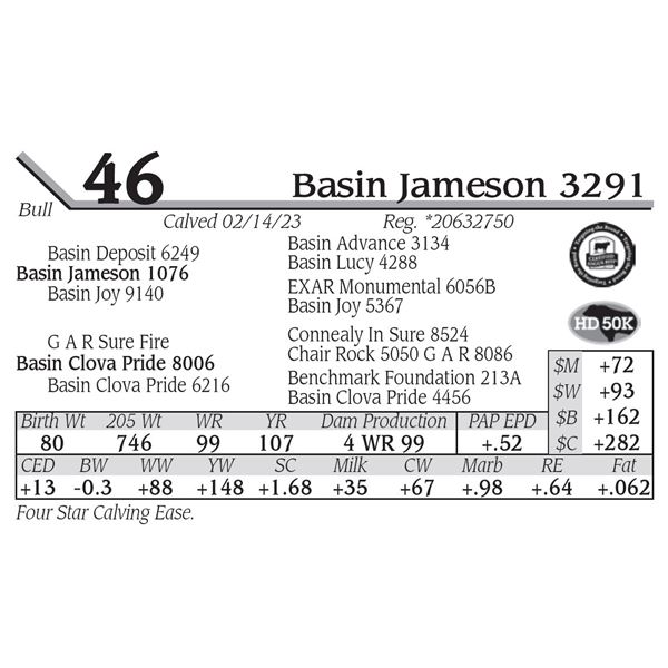 Basin Jameson 3291